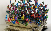 Address book manager